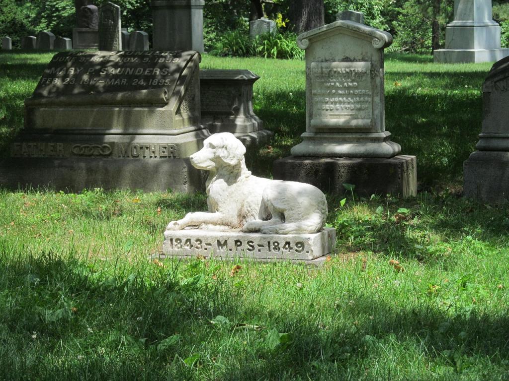 Памятник собаке на кладбище.